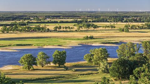 Blick über das Tal der Elbe beim Höhbeck, Niedersachsen und Brandenburg, Biosphärenreservat Flusslandschaft Elbe