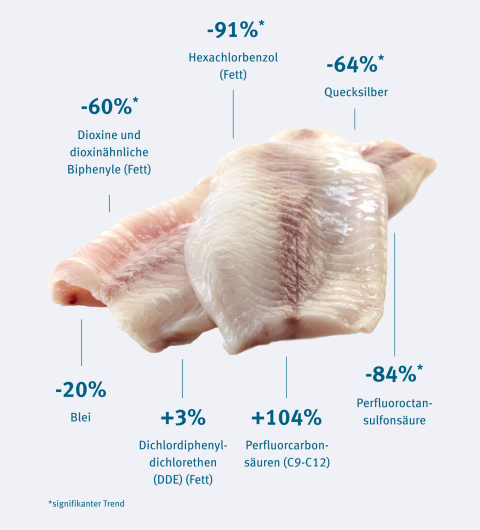 Elbe (seit den 1990er Jahren)