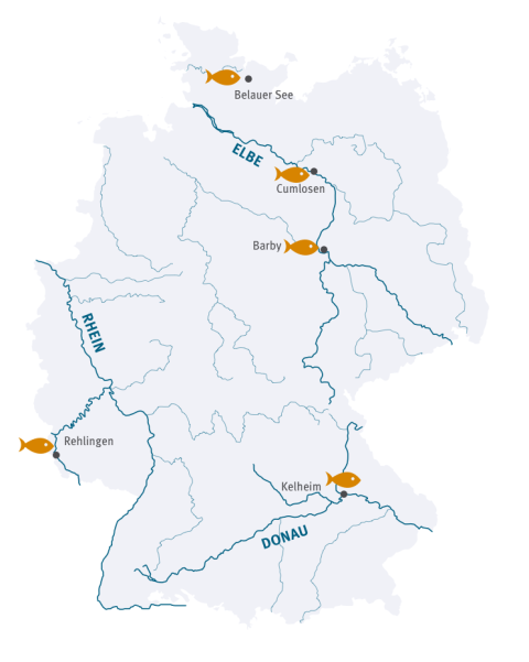 Probenahmegebiete M (<50cm)