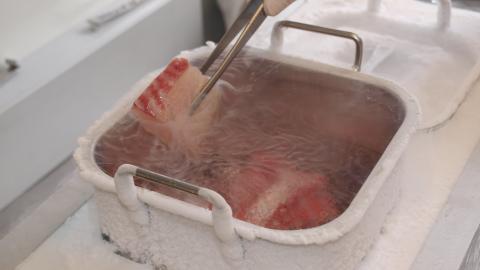 Brassenfilets in flüssigem Stickstoff