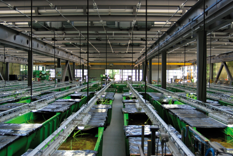 Verfahrenstechnik vor dem Brand (2)_3